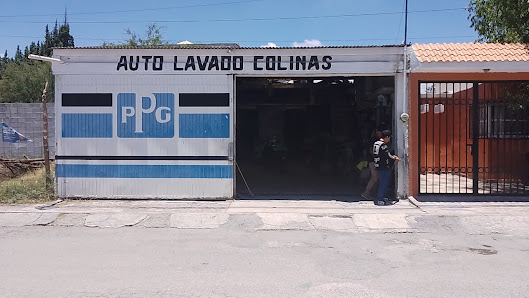 Auto Lavado Colinas